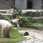 Fun Parks & Games (3)