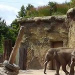 Zoos & Wildparks3