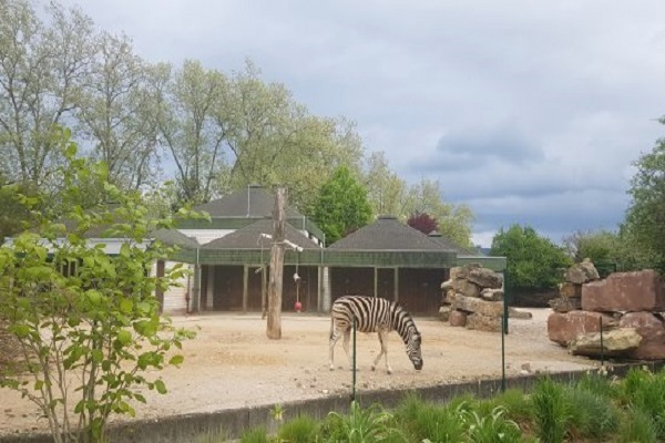 Zoos & Wildlife Parks